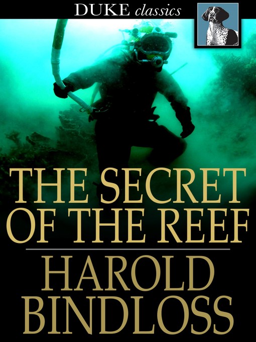 Title details for The Secret of the Reef by Harold Bindloss - Wait list